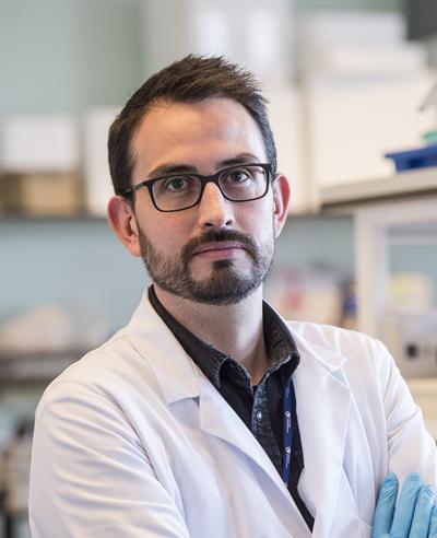 Dr Diego Gomez-Nicola's photo